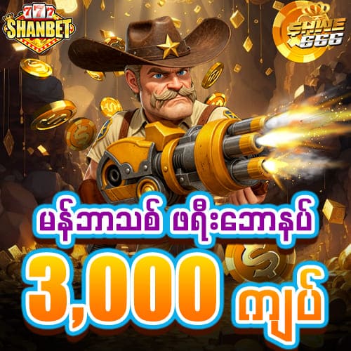 shwe666